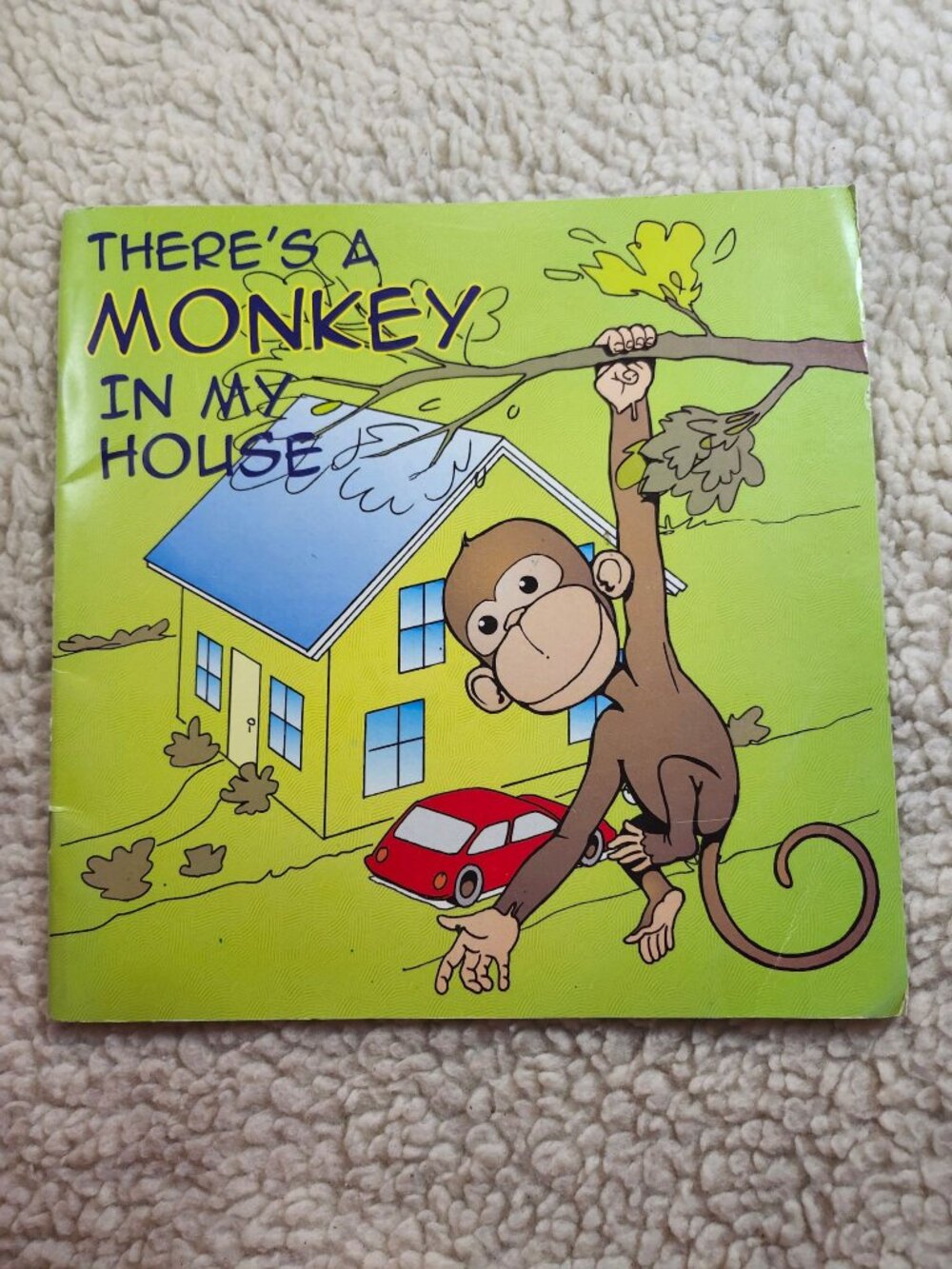 Theres A Monkey In My House Childrens Picture Book Halton Region 2004 Safety